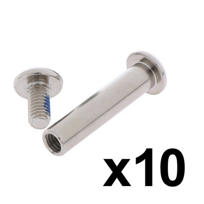 Tornillo de Bloqueo de 35 mm para mástil patinete EcoXtrem Bison. Tornilllo Pliegue (Plata) (10 Uds) Tornillo de Bloqueo de 35 mm para mástil patinete EcoXtrem Bison. Tornilllo Pliegue (Plata) (10 Uds)